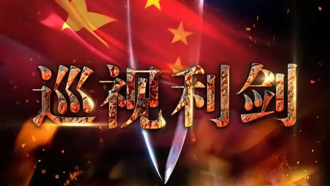 錘煉黨性 雙迪黨支部開展全體黨員集中學習