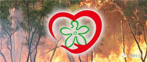 ����ɽ�Ȼ�Ӣ���¾������������ð�����