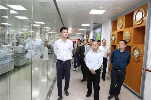 �Ĵ��㰲�������쿼���ŵ���¡����