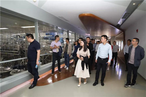 �Ĵ��㰲�������쿼���ŵ���¡����