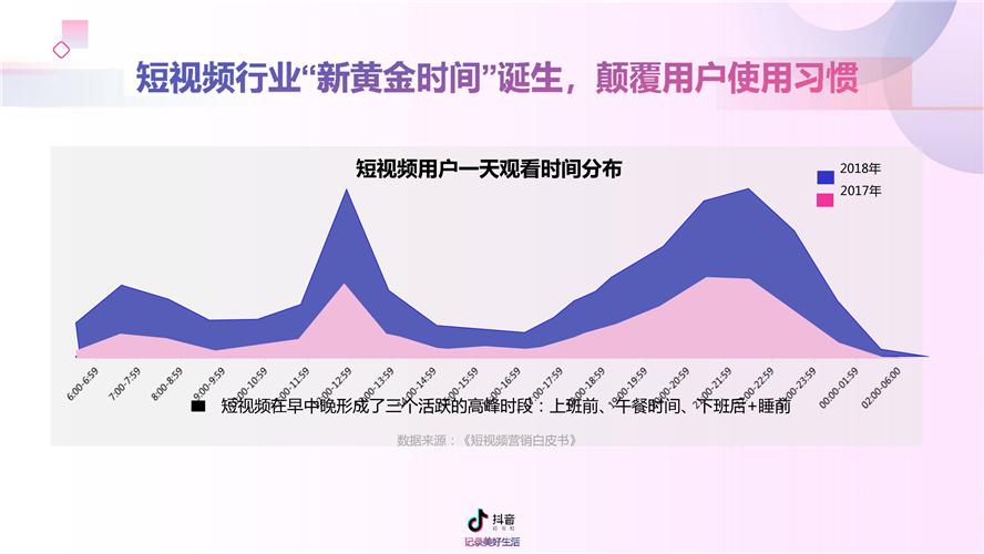 2019年抖音營銷通案（附完整報告）