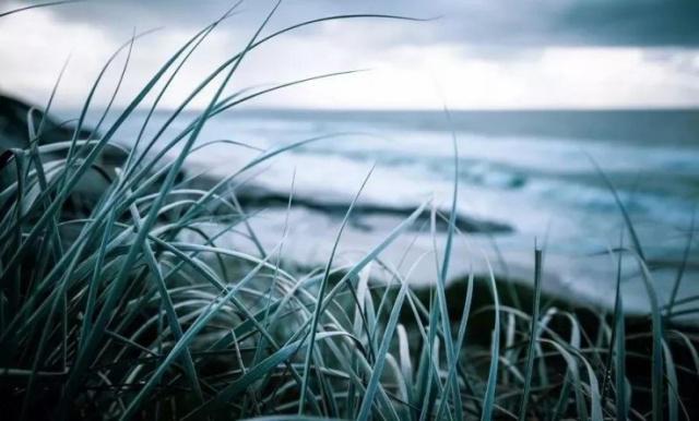 9825bc315c6034a8a1490dc4ed3cbe5008237684.jpeg 9825bc315c6034a8a1490dc4ed3cbe5008237684.jpeg