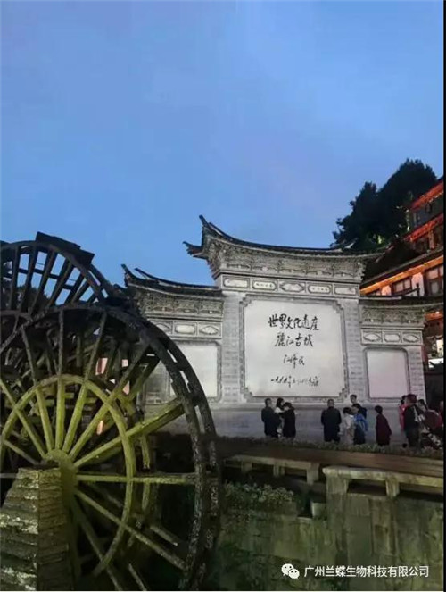 欧妆&兰蝶集团 八八会议 “梦幻丽江行”