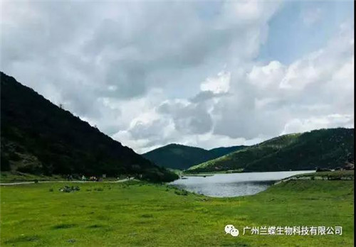 欧妆&兰蝶集团 八八会议 “梦幻丽江行”