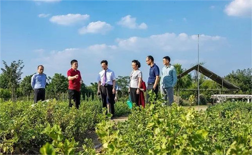 安利再度参与“国家队”科研,凭什么?