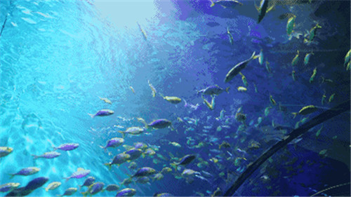 ������Ϯ����������Ƽ�����ݿ����ڼ�