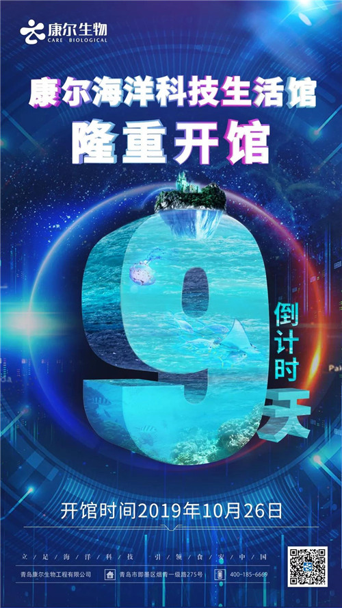 ������Ϯ����������Ƽ�����ݿ����ڼ�