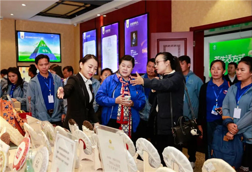 中国老挝友好交流青年代表莅临理想参观指导