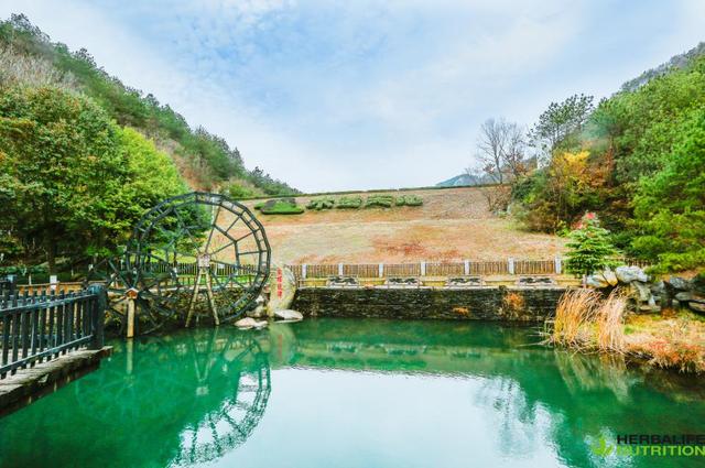 ����������ͽ��֮��Բ����Ļ ��λ���˹�ͬ��֤