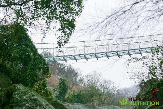 ����������ͽ��֮��Բ����Ļ ��λ���˹�ͬ��֤