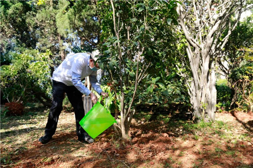 �������룬�ջ�ɹ��������조���������ա�Բ������