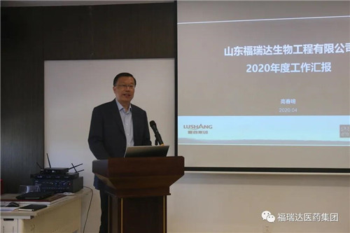 福瑞達醫藥集團召開會議傳達落實集團年度工作會議