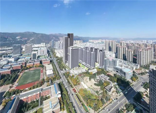 理想科技:世界直銷百強企業助力推動云南茶葉國際化市場