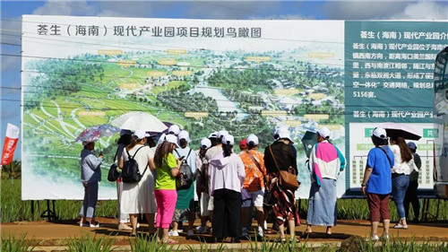 ���������������ҫ�������������ֻ�¡���ٿ�