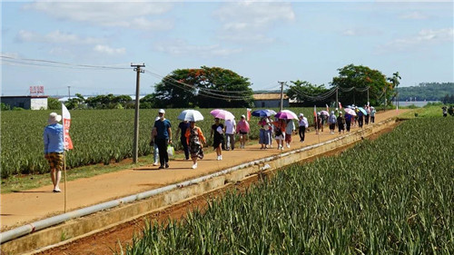 ���������������ҫ�������������ֻ�¡���ٿ�