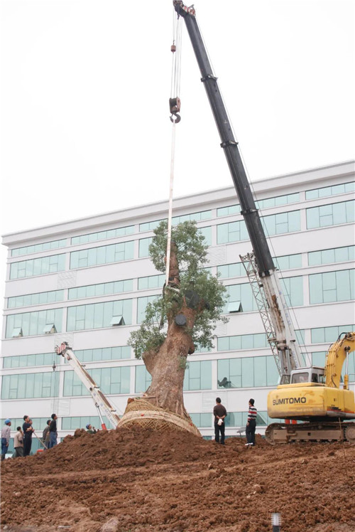 ������������ۣ���Щ����Ƭ����û�д�����Ļ��䣿