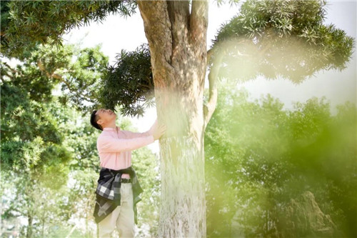 ������������ۣ���Щ����Ƭ����û�д�����Ļ��䣿