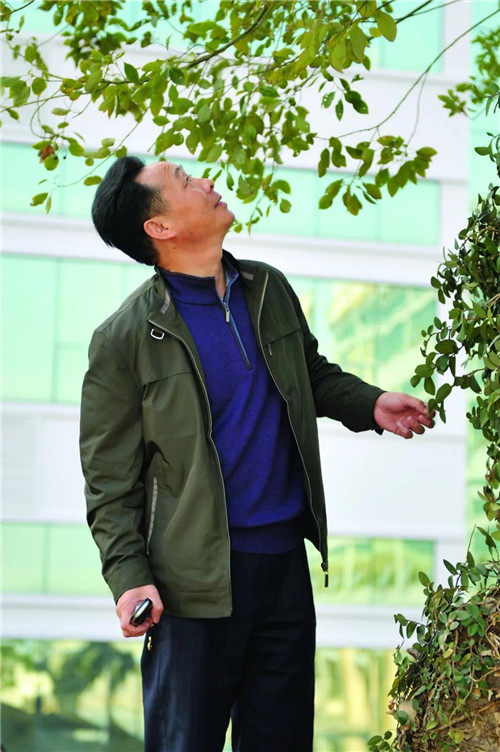 ������������ۣ���Щ����Ƭ����û�д�����Ļ��䣿