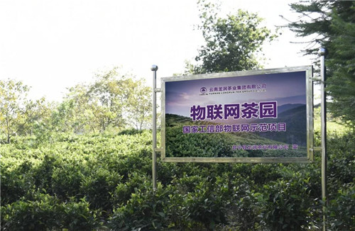 ����Ƽ�������ټ��ղ��½���ӣ����ʡ�����ר�����Ʋ��� 