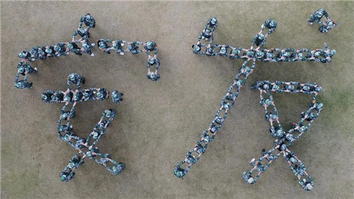 �����������꾫Ӣ���ֲ���������ߵ�һ����ֲ�ϵ�л�ɹ��ٰ�