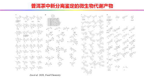 理想科技：刘仲华博士分享《拯救肥宅——中国茶叶深加工发展趋势》