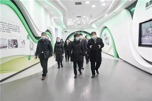 安国市委领导莅临金木集团指导工作
