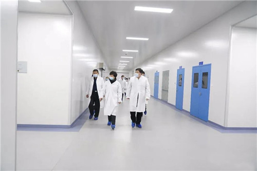 安国市委领导莅临金木集团指导工作