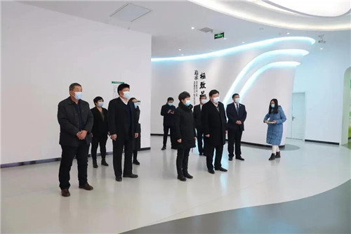 安国市委领导莅临金木集团指导工作