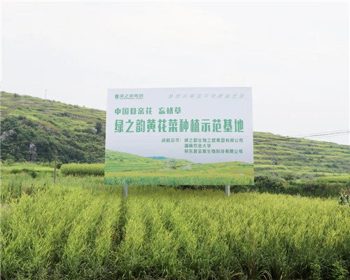 绿之韵3·15特辑② | 坚决守护消费者“舌尖上的安全”