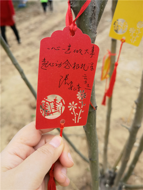 “绿色成长力量，安然与社会共成长（北京站）”植树节活动成功举办！第8张