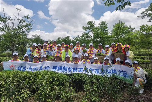 2021理想创业精英千年茶乡探秘之旅:国际茶日,茶山朝圣 2021理想创业精英千年茶乡探秘之旅:国际茶日,茶山朝圣