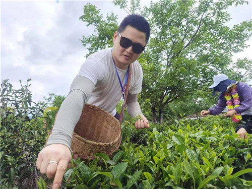 2021理想创业精英千年茶乡探秘之旅:国际茶日,茶山朝圣
