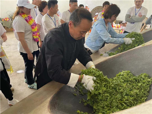 2021理想创业精英千年茶乡探秘之旅:国际茶日,茶山朝圣