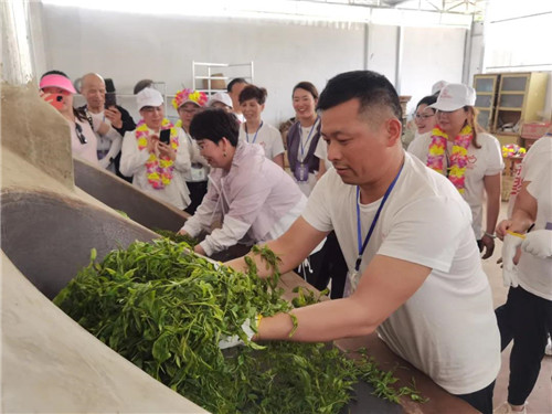 2021理想创业精英千年茶乡探秘之旅:国际茶日,茶山朝圣
