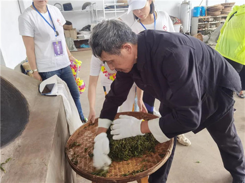 2021理想创业精英千年茶乡探秘之旅:国际茶日,茶山朝圣