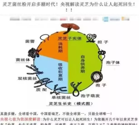 图片.png 图片.png