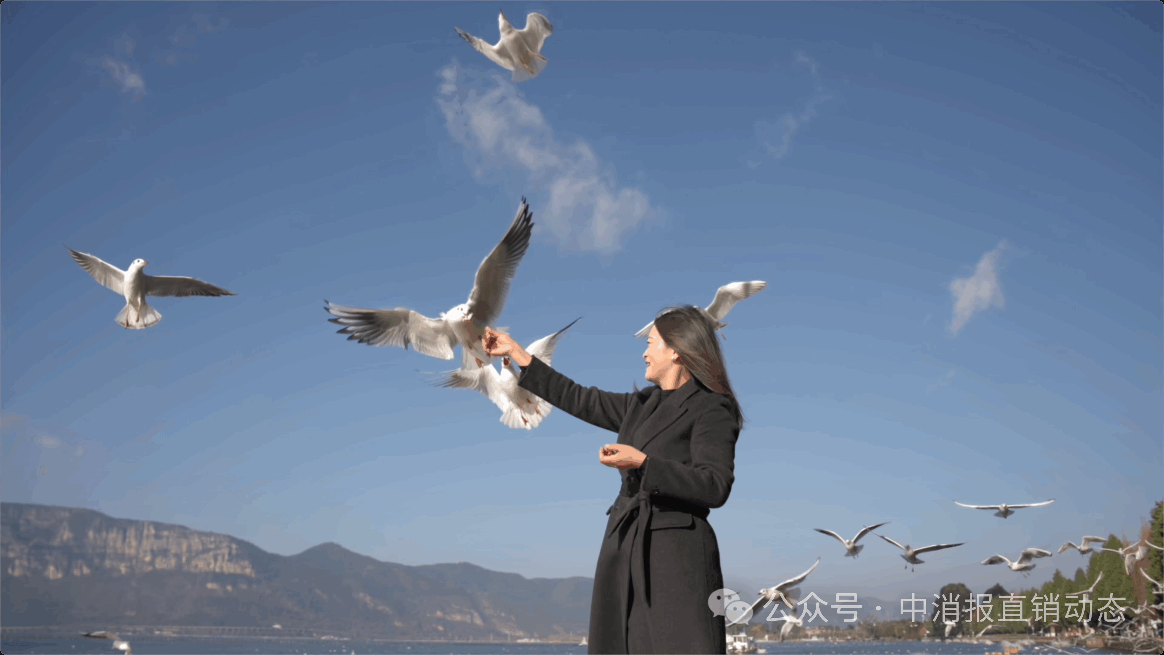 微信圖片_2025-07-08_103851_838.png 微信圖片_2025-07-08_103851_838.png