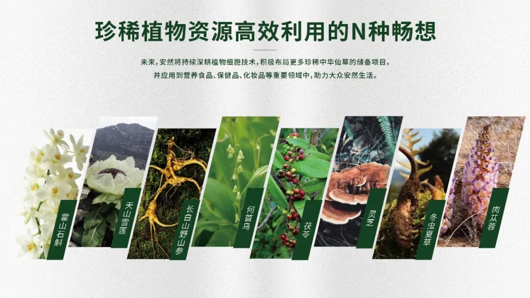 微信图片_20261020182232_872_47.jpg 微信图片_20261020182232_872_47.jpg